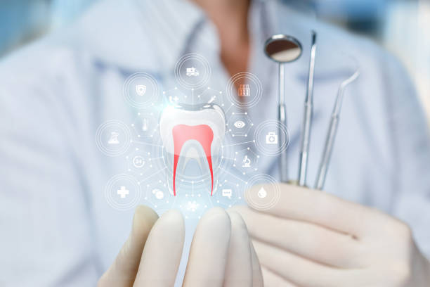 Best Dental X-Rays and Imaging  in Guntown, MS
